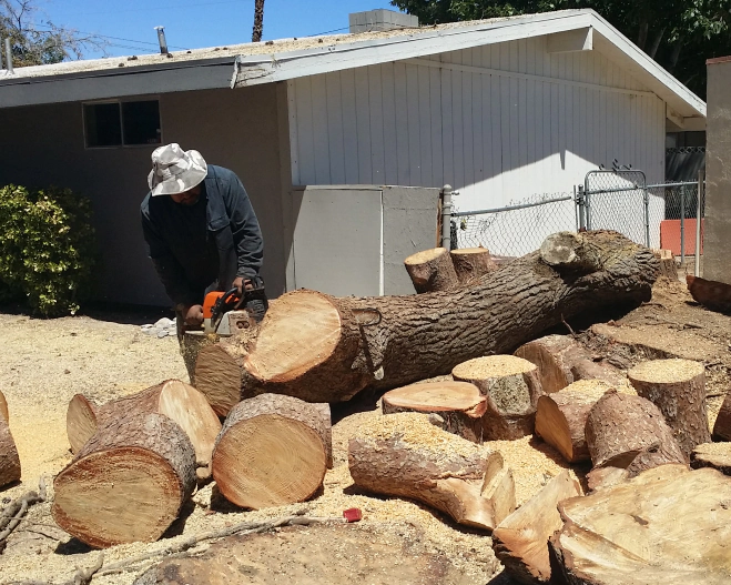 man cutting fallen tree trunks to pieces