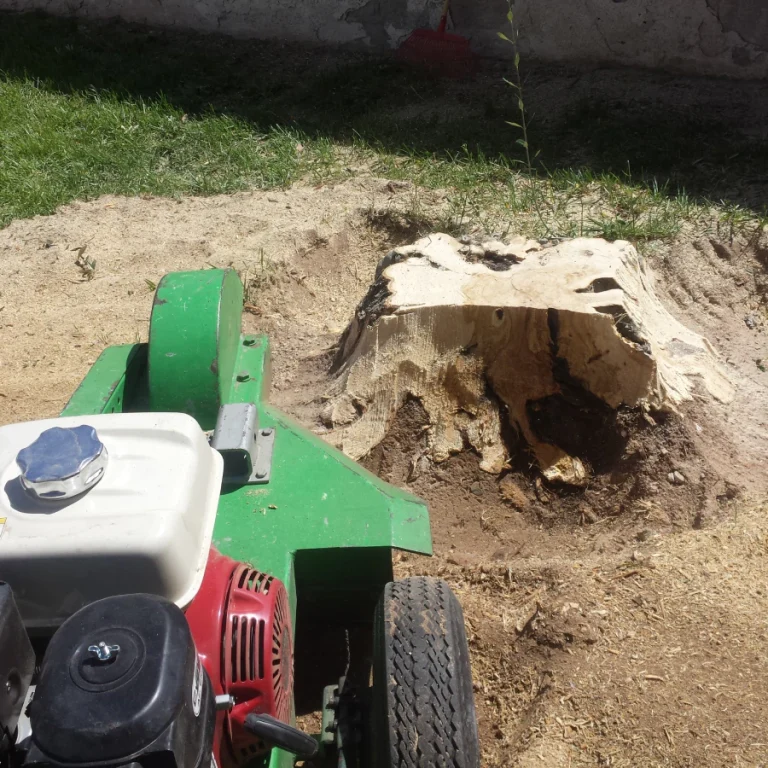 stump grinding services