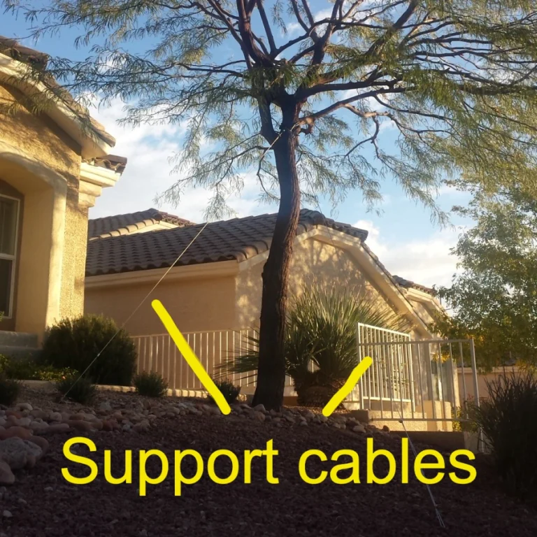tree cabling services