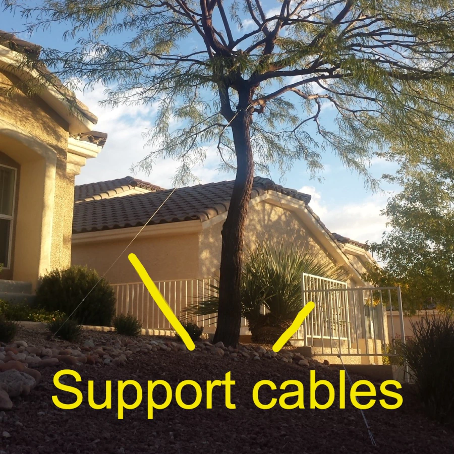 tree cabling services