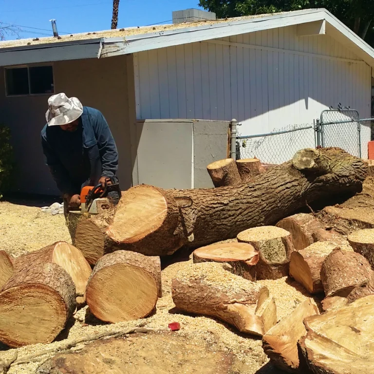 tree removal services